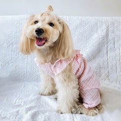 Peach Gingham Dog Dress with Ruffle Sleeves