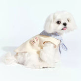 College-themed Furgo Pet Cartoon Vest