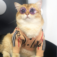 Costco Hot Dog Shirt Pet Knit Sweater British Style