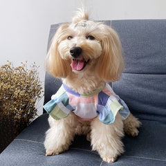 Color Block Dog Dress with Bow Tie