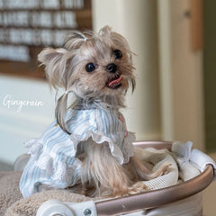 French lace-patterned pet dress