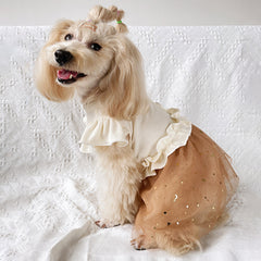 Starry Dog Dress with Cream Top and Tulle Skirt