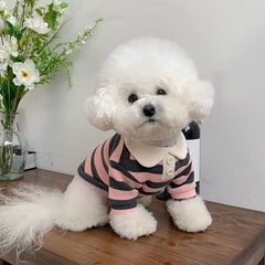 Striped Dog Shirt with Collar and Leash Ring