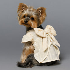 Princess Cute Teddy Dog Dress
