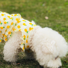 Dog Dresses Summer Pineapple Skirt T-Shirt Vest