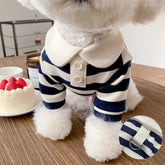 Striped Dog Shirt with Collar and Leash Ring