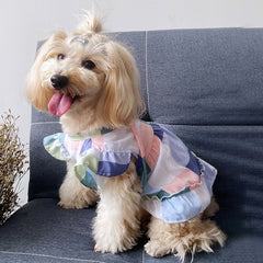 Color Block Dog Dress with Bow Tie