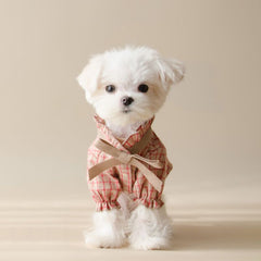 Patterned bow-shaped pet shirt dress