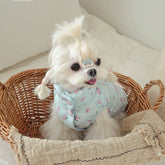 Pet warm-up outerwear down jacket