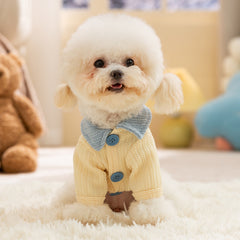 Cute Knit Dog Sweater with Blue Collar