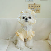 Cute pet Lolita-style creamy yellow ensemble
