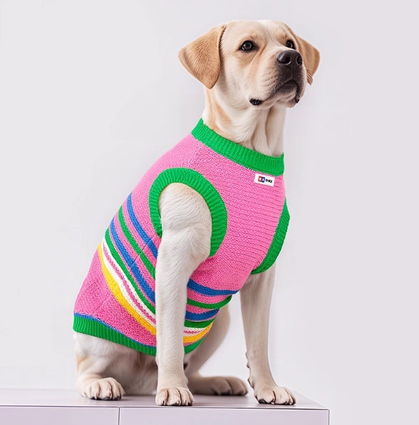 Striped Dog Shirt with Collar and Leash Ring