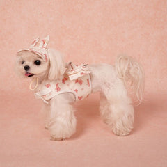 Pet Harness & Hat Set: 100% Cotton Cute-Style Leash