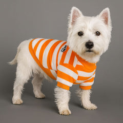 Dog Shirts Winter Warm Teddy Striped Tops