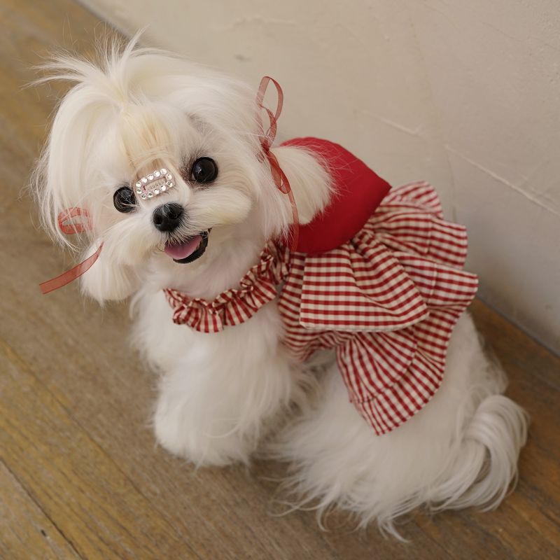 red plaid dog dress Parisian Pet Scottish Plaid Pleated Dog Dress