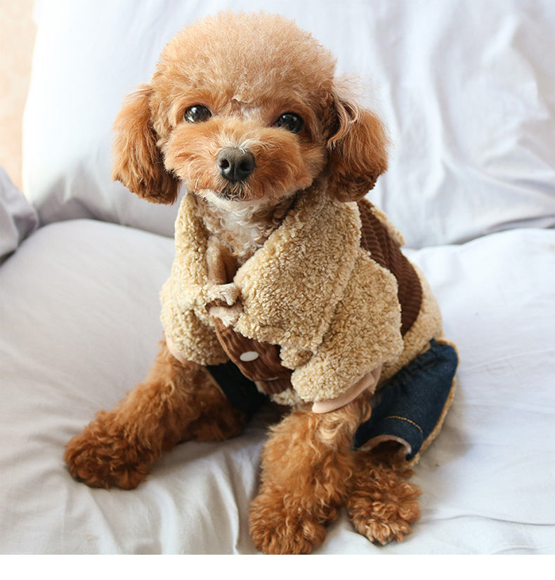 Dog Shirts Green Pockaet Pet Teddy Cotton Winter Coat