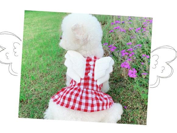 Dog Shirts Pet Wing Vest Skirt Angel