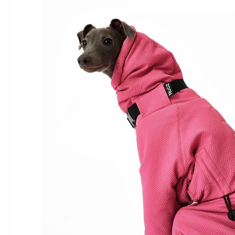 Pet four-legged thermal clothing for a Greyhound-like hunting dog body type