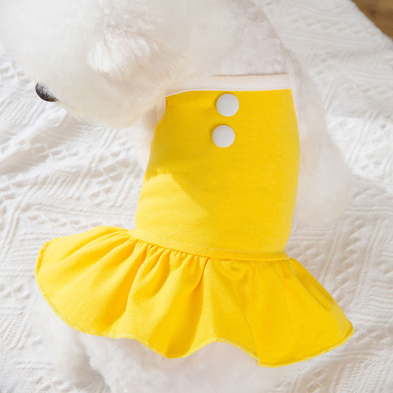 Small Yellow Button Dog in Dress