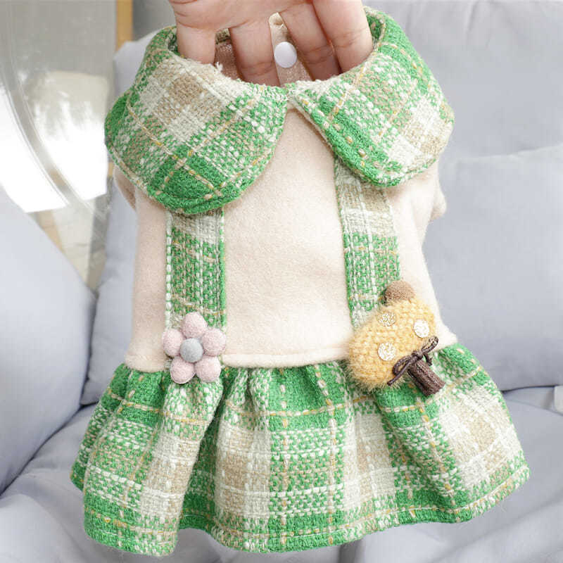 Dog in Dress Green Plaid Lapel Flower