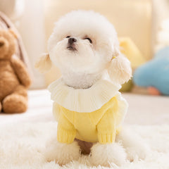 Dog Dress Cute Princess Lapel Top