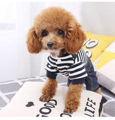 Dog Shirts Blue Stripe Bichon Hiromi Four-legged Jumpsuit