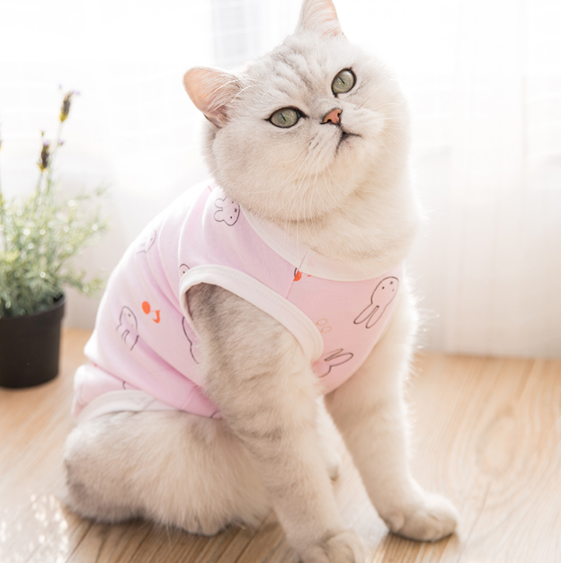 Dog Shirts Summer Rabbit Crown Pet Cat Vest Skirt