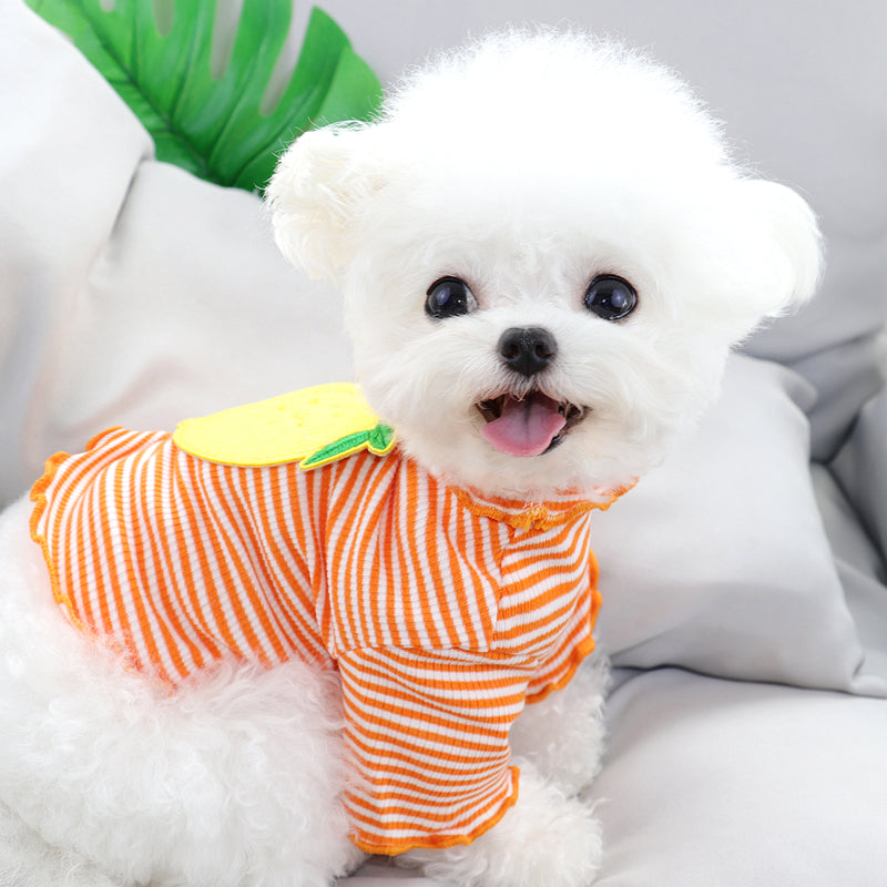 Dog Hoodie Autumn Fruit Short Bottoming Shirt Tops