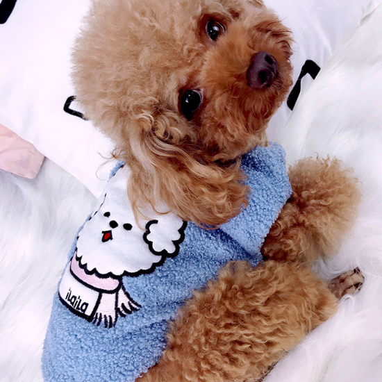 Dog Shirts Winter Teddy Warm Cotton Jacket