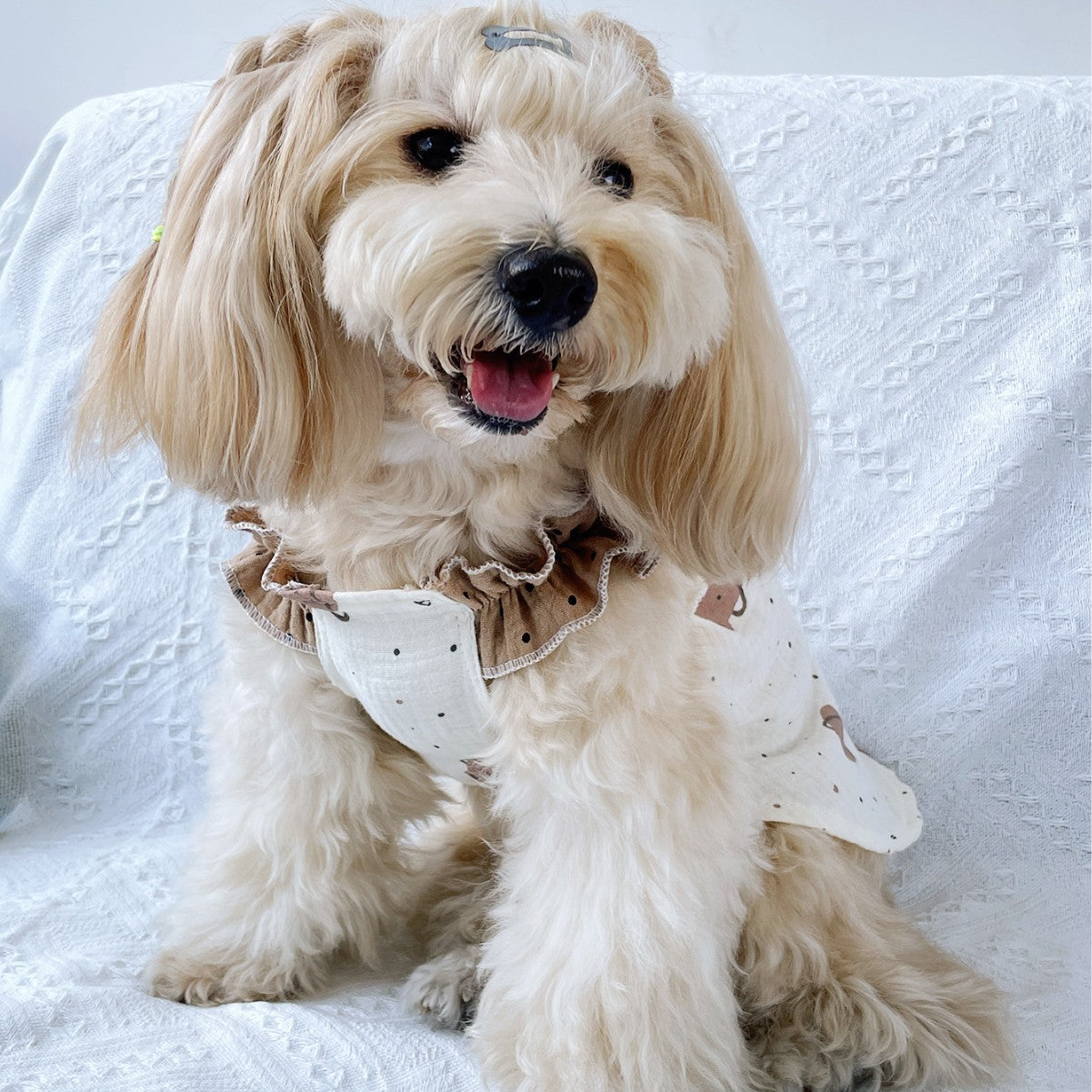 Dog Dress Cute Princess Lapel Top