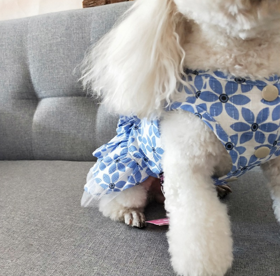 Dog Dress Summer Pet Small Flower Skirt