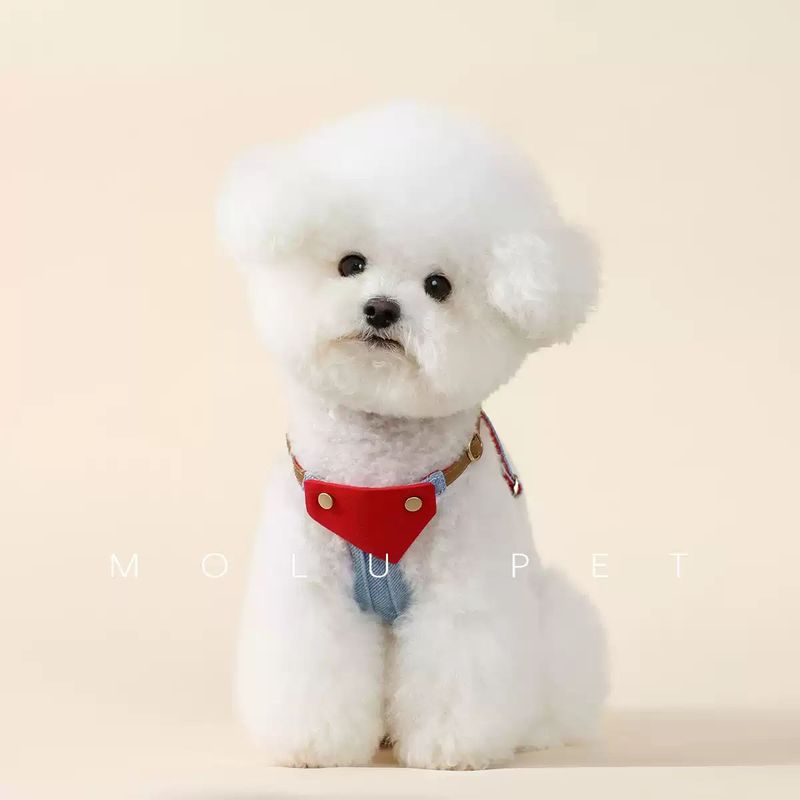 Denim spit cloth, chest and back traction leash