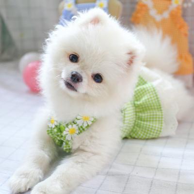 Dog Dresses Summer Small Pet Thin Vest Skirt