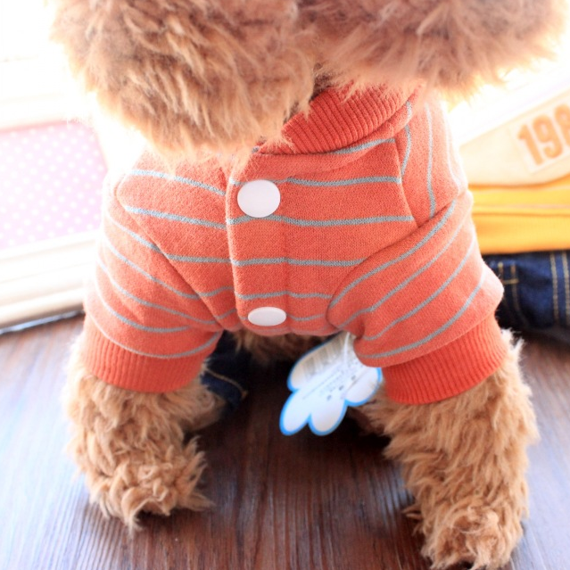 Dog Shirts Striped Belt Backpack Turtleneck Sweater