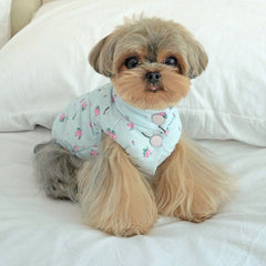 Pet warm-up outerwear down jacket