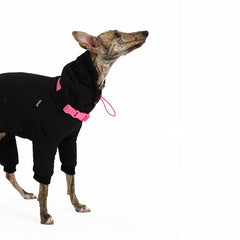 Pet four-legged thermal clothing for a Greyhound-like hunting dog body type