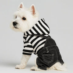 Dog Hoodie Snap Four-legged Autumn Winter Denim Overalls