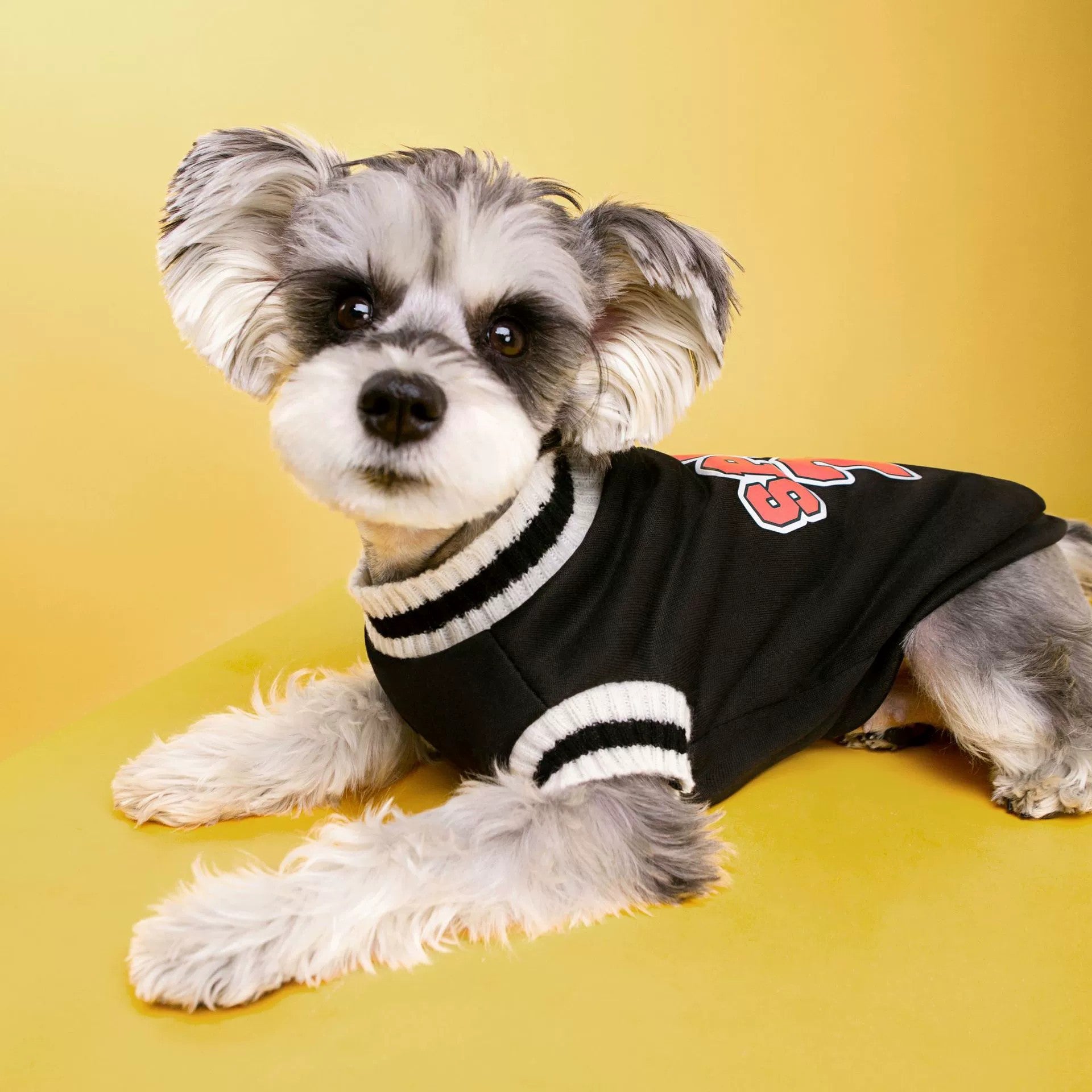 Dog Shirts Pet Fashion Sweatshirt Campus Style Velvet Warm Sweatshirt Is Only $9.9