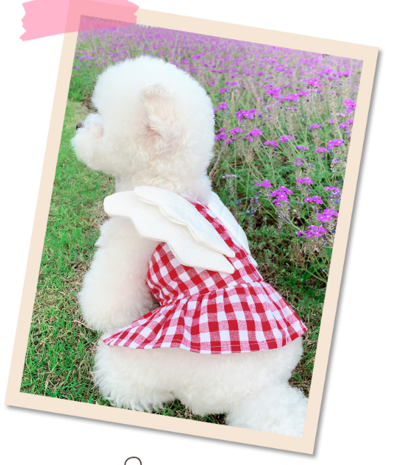 Dog Shirts Pet Wing Vest Skirt Angel