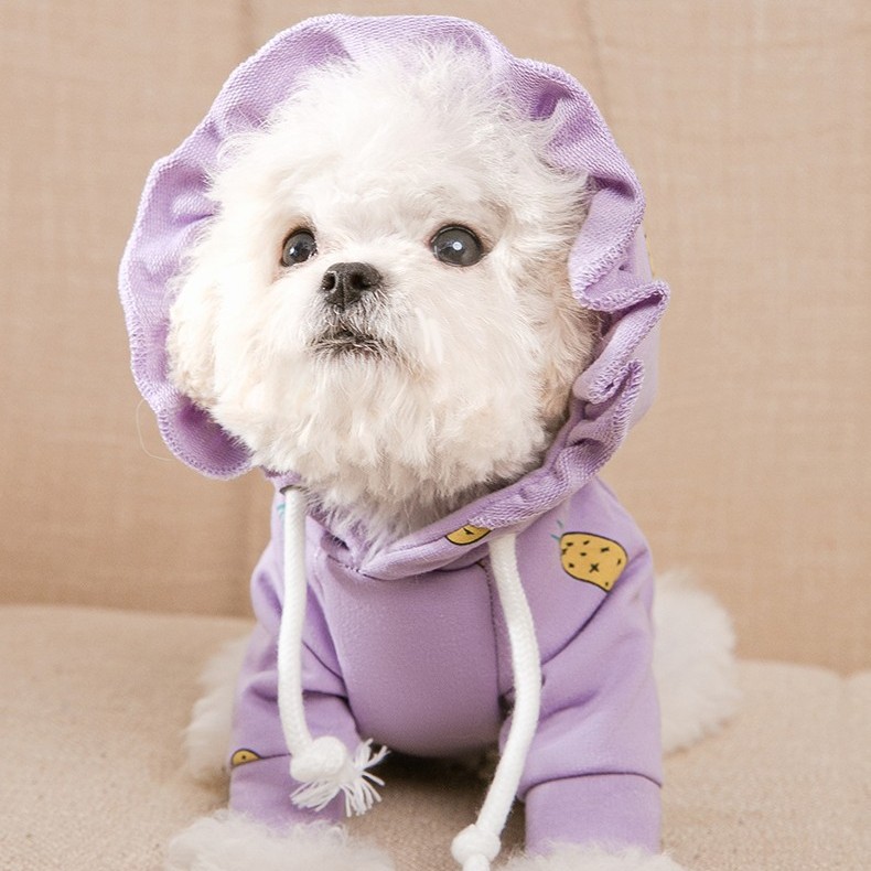 Dog Hoodie Purple Carrot Puppy