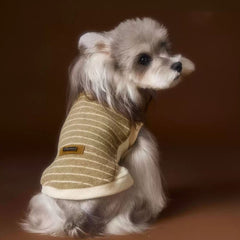 Pet-themed striped knit Sweater