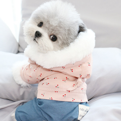 Dog Hoodie Pet Sweater Autumn Winter Clothes Coat