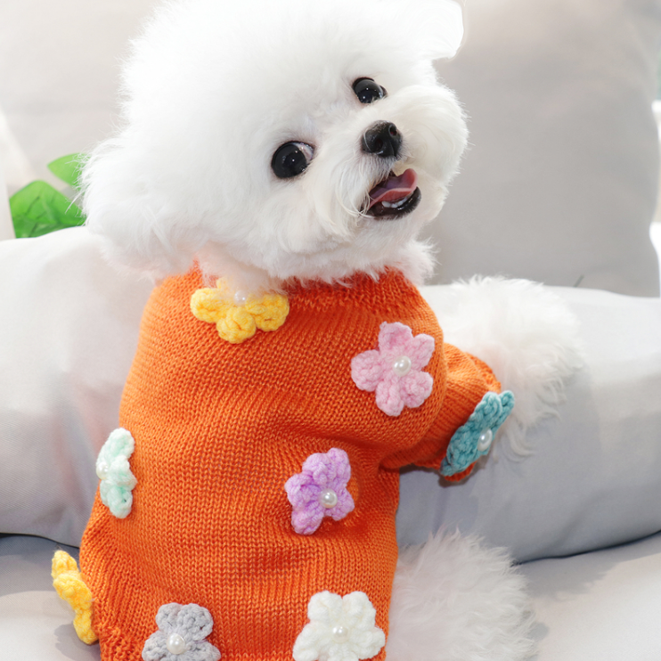 Dress of Dog Short Sweater Schnauzer Casual Small Pet