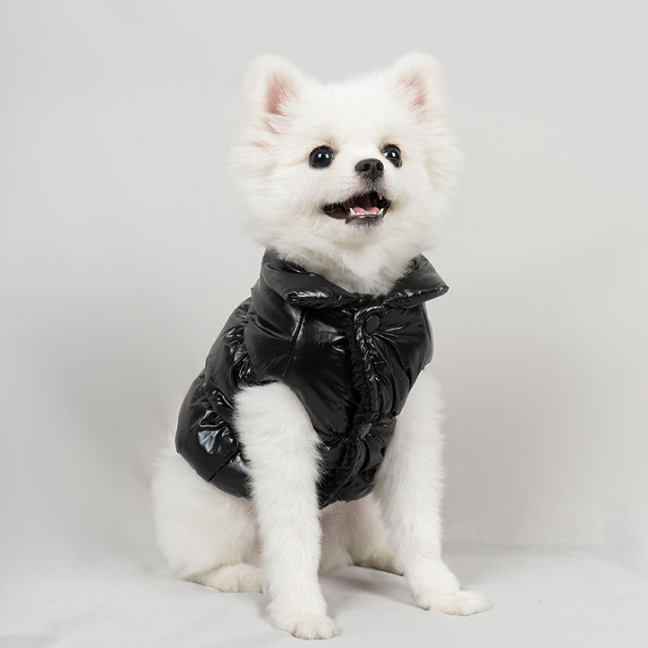 Dog Dress Simple Fashionable Warm Winter Cotton Jacket