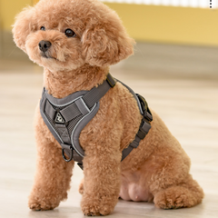 Dog Vest Small Pet  Rope