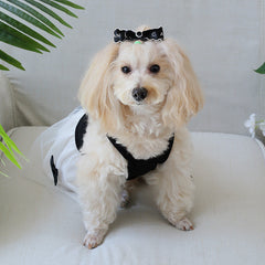 Dog Dress Cute Princess Lapel Top