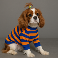 Dog Shirts Striped Belt Backpack Turtleneck Sweater
