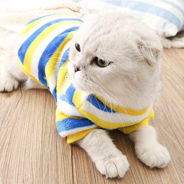 Cat Shirts Striped Sweater to Keep Warm for Autumn Winter