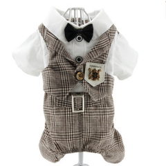 Dress of Dog Teddy Handsome JumpSuit