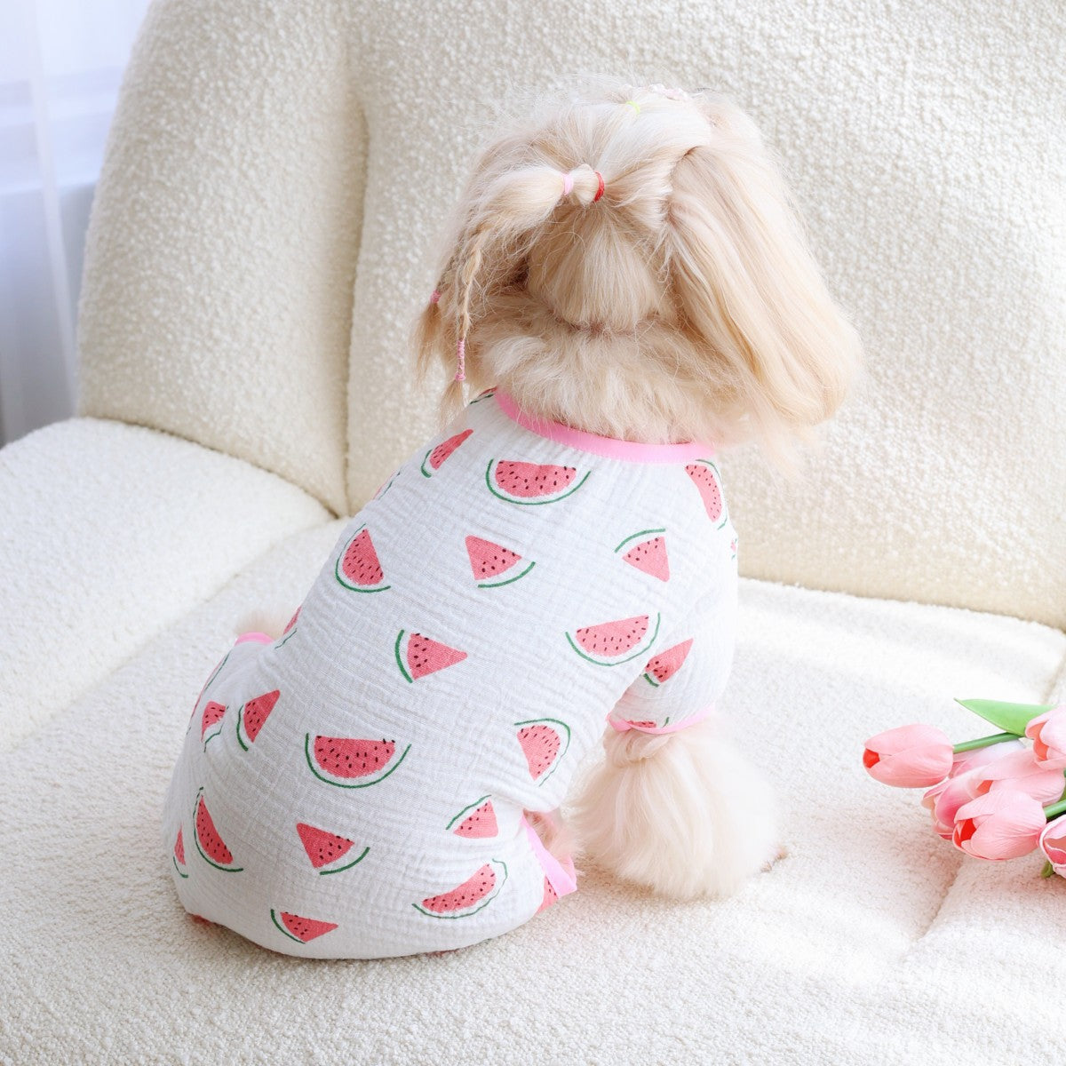 Watermelon Print Dog Pajama Romper for Summer